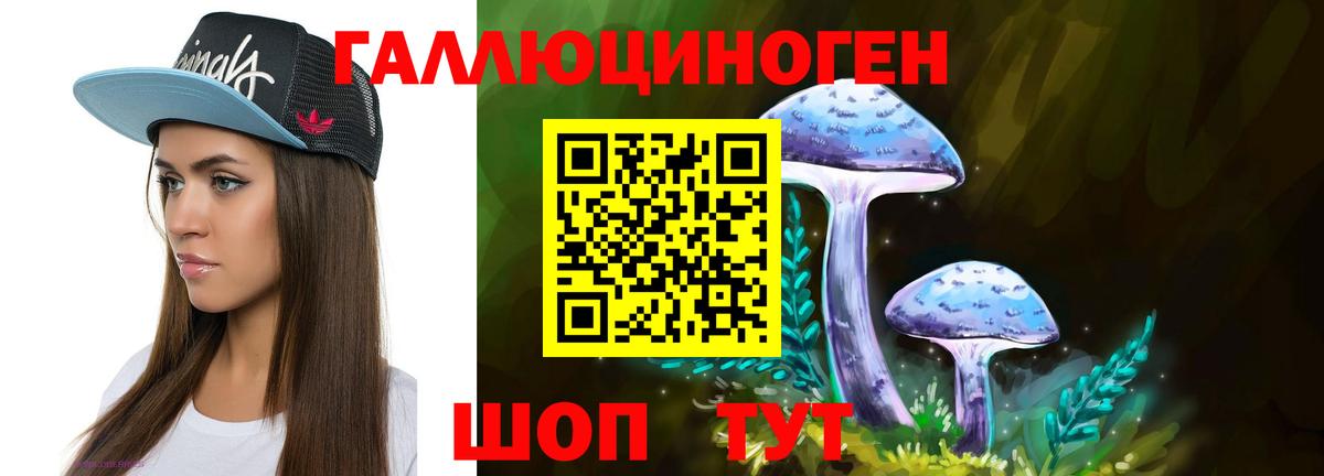 Галлюциногенные грибы Cubensis Боровичи